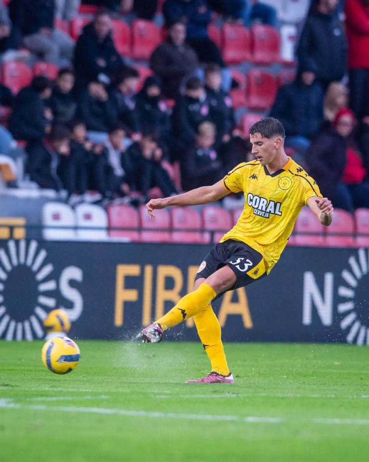 Francisco Gonçalves