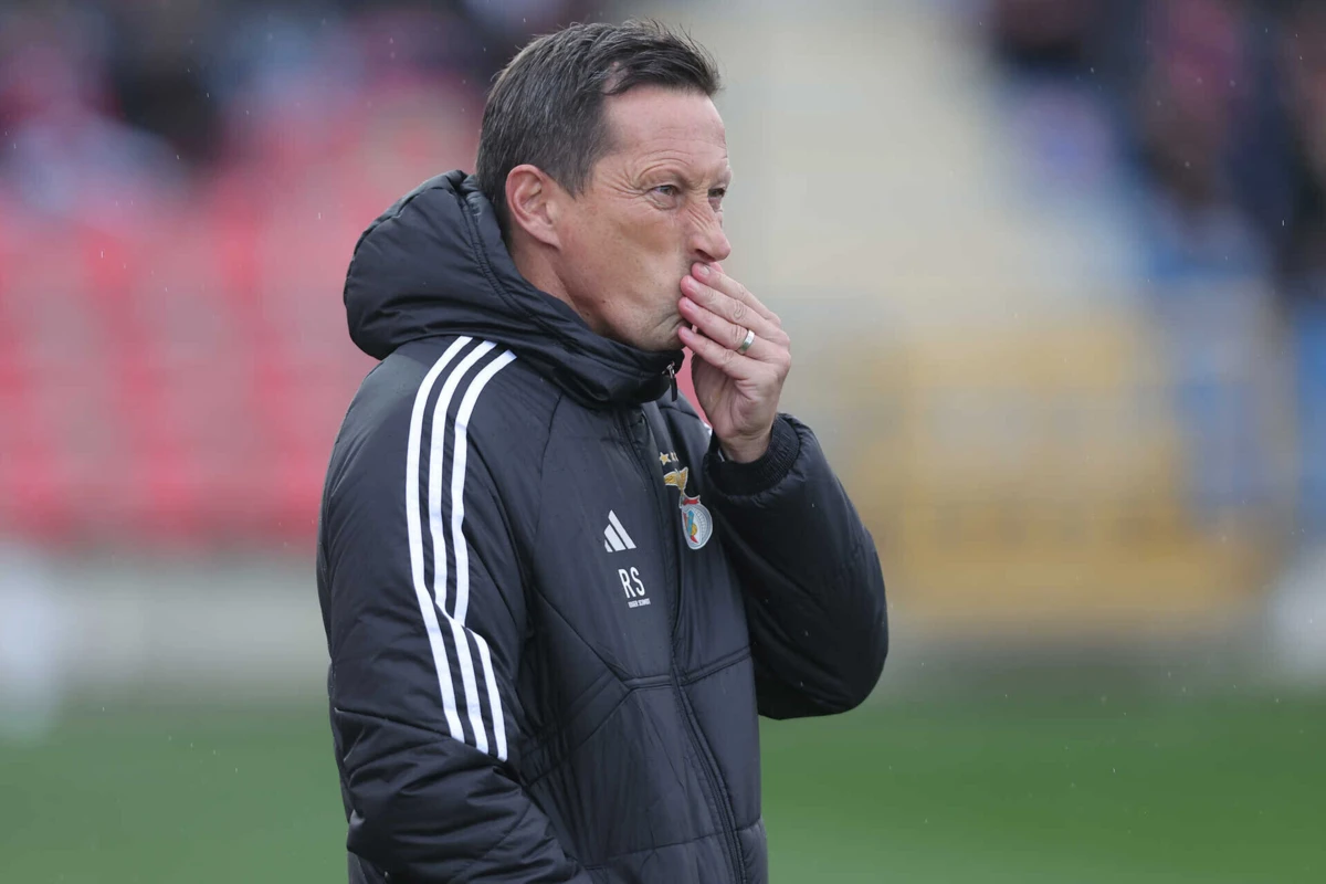 Imagem de contexto do artigo "Calendário? Temos de nos habituar e esperamos jogar muito tempo assim"