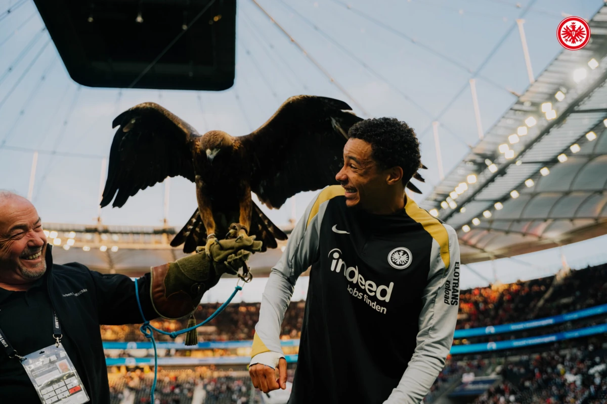 Ekitike (créditos: Eintracht Frankfurt)