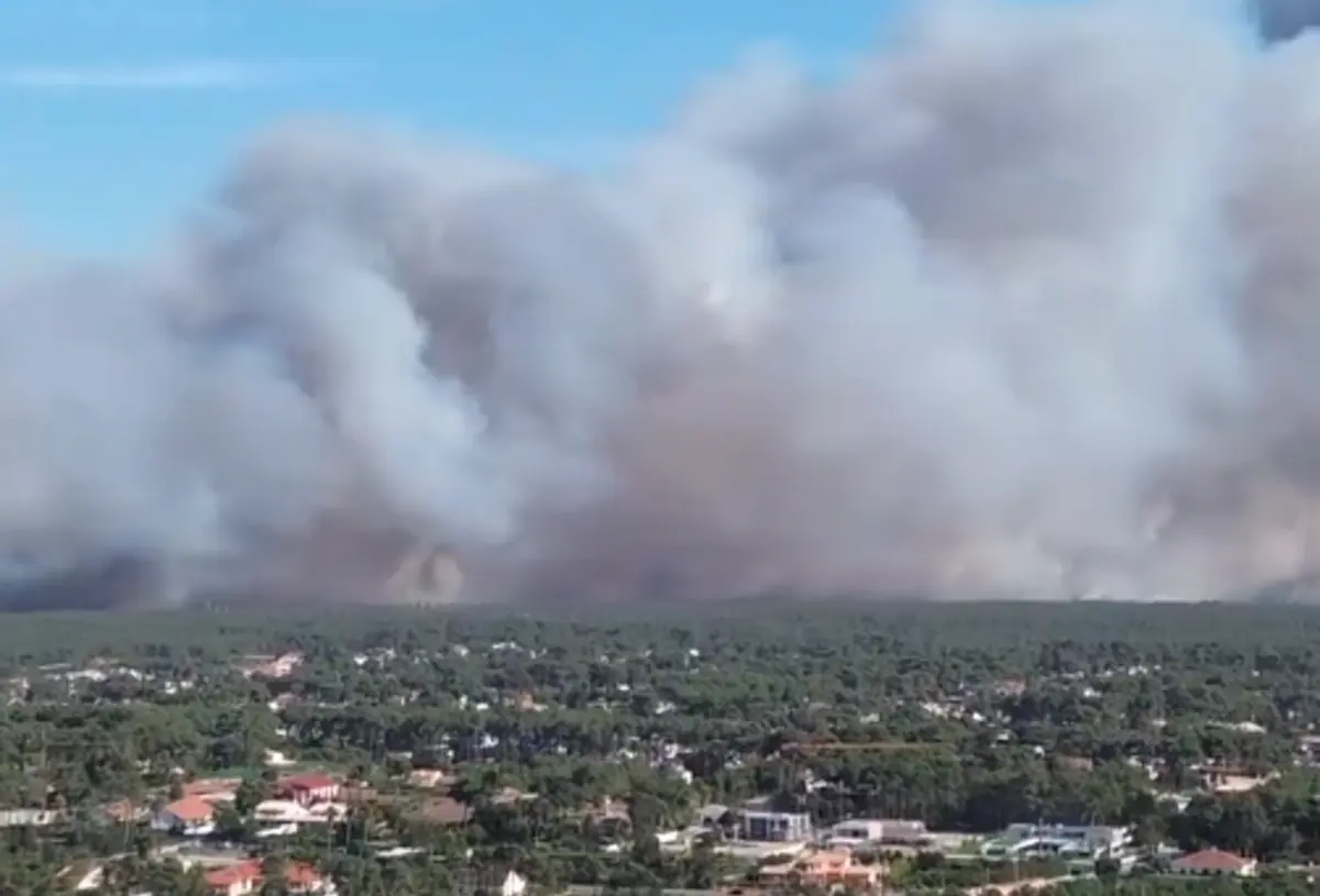 Imagem de contexto do artigo Incêndio começou no Seixal: "A velocidade de propagação ainda é elevada"
