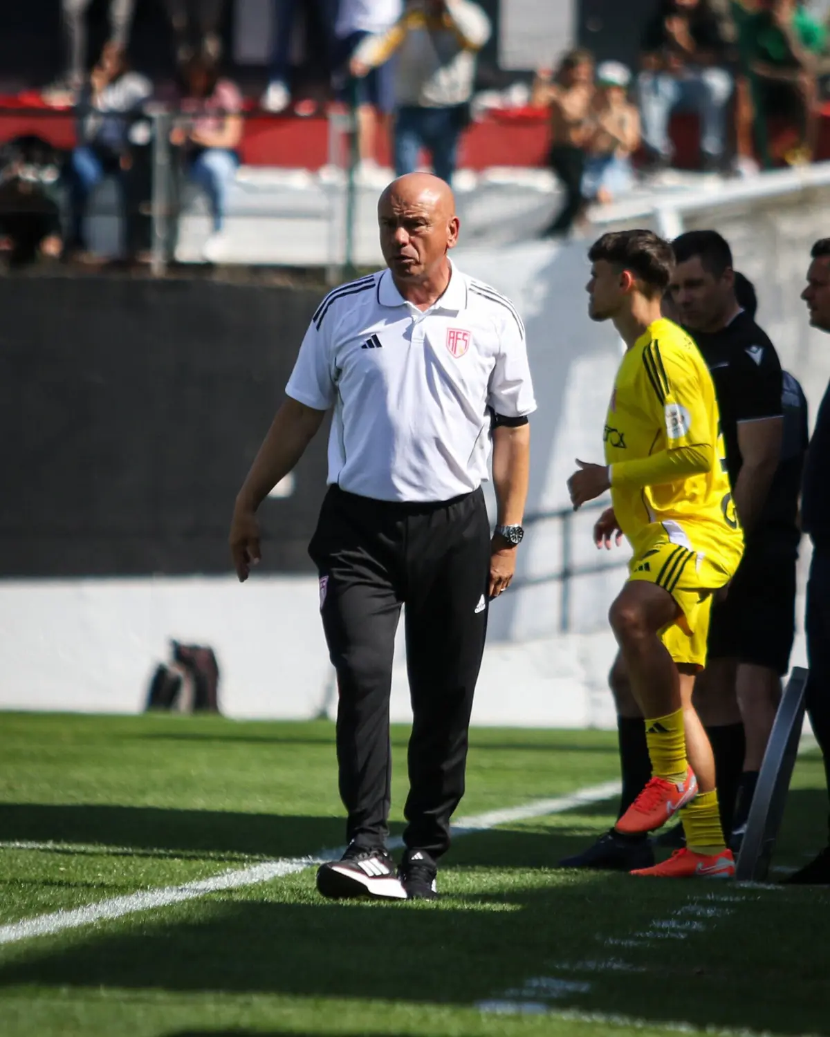 José Mota (Créditos: AFS)