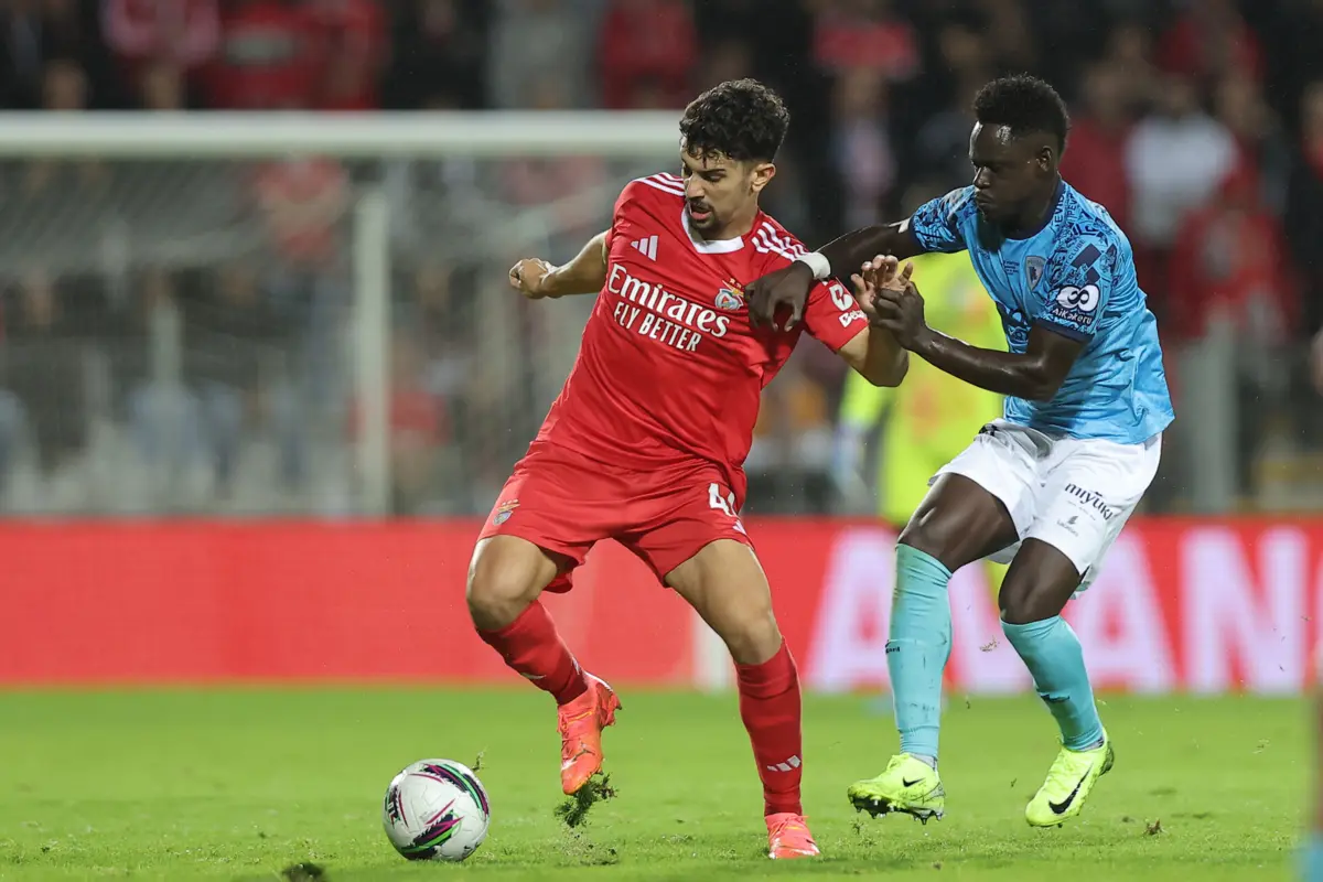 Tomás Araújo (Créditos: Miguel Pereira/Global Imagens)