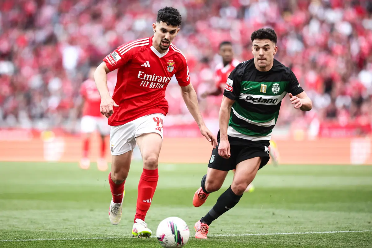 Pedro Gonçalves (créditos: Mário Vasa)