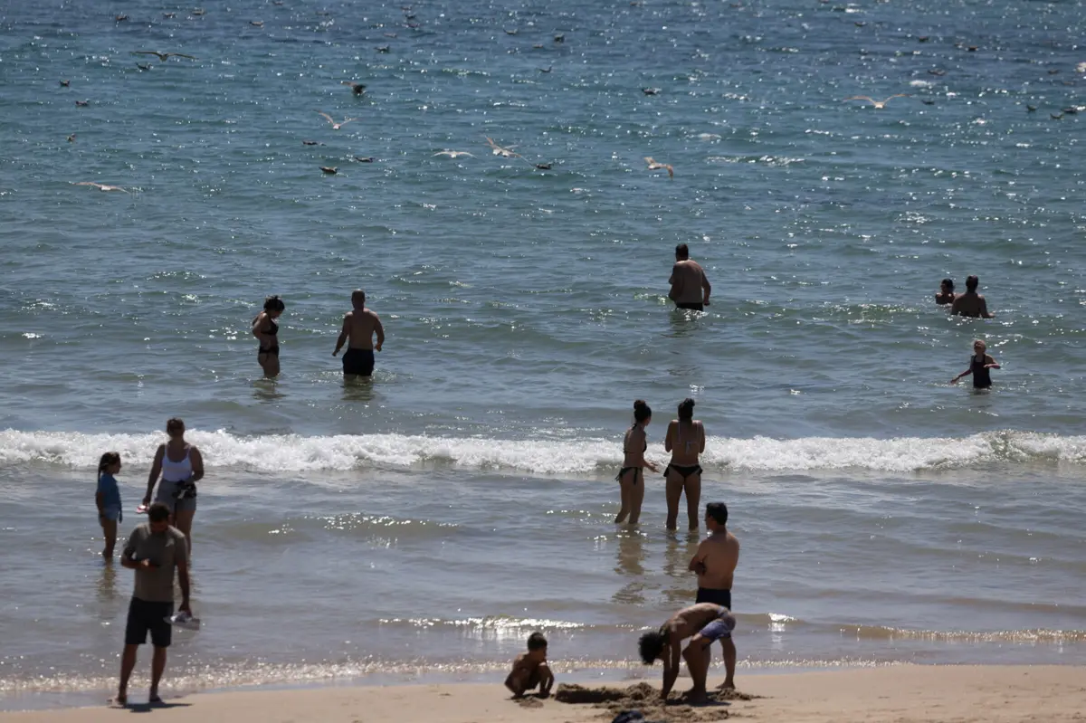 Créditos: Pedro Correia