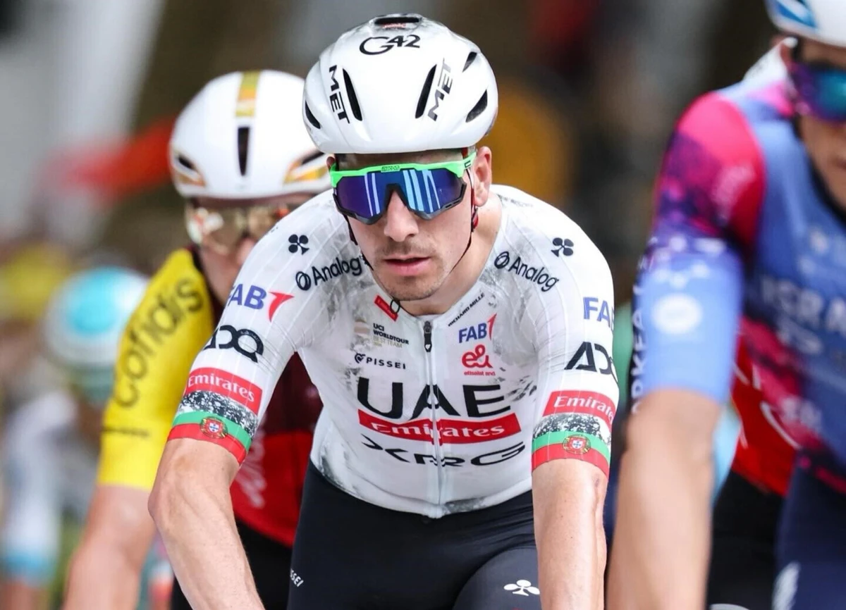 João Almeida (créditos: FPC)