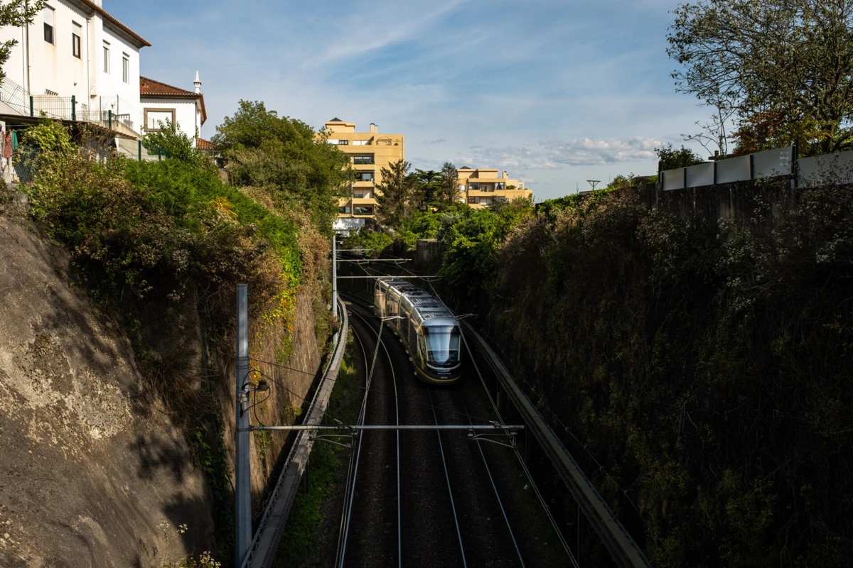 Créditos: Igor Martins