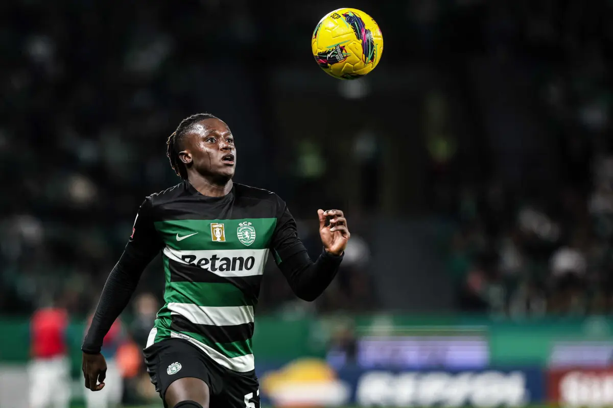 Quenda (créditos: Mário Vasa)