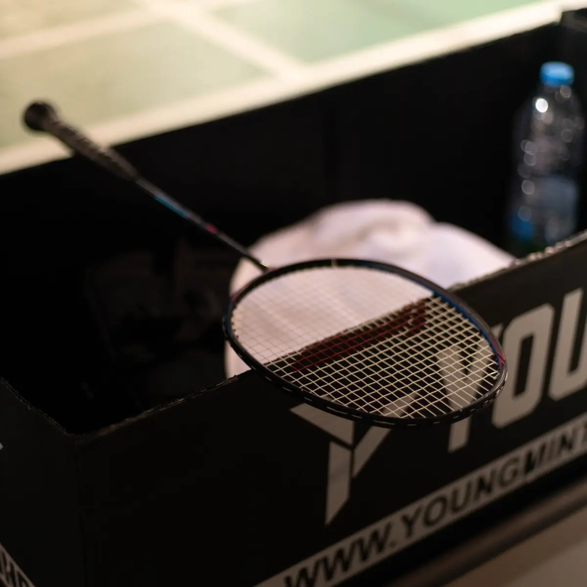 Imagem de contexto do artigo Razia entre os lusos nos campeonatos internacionais de Portugal em badminton