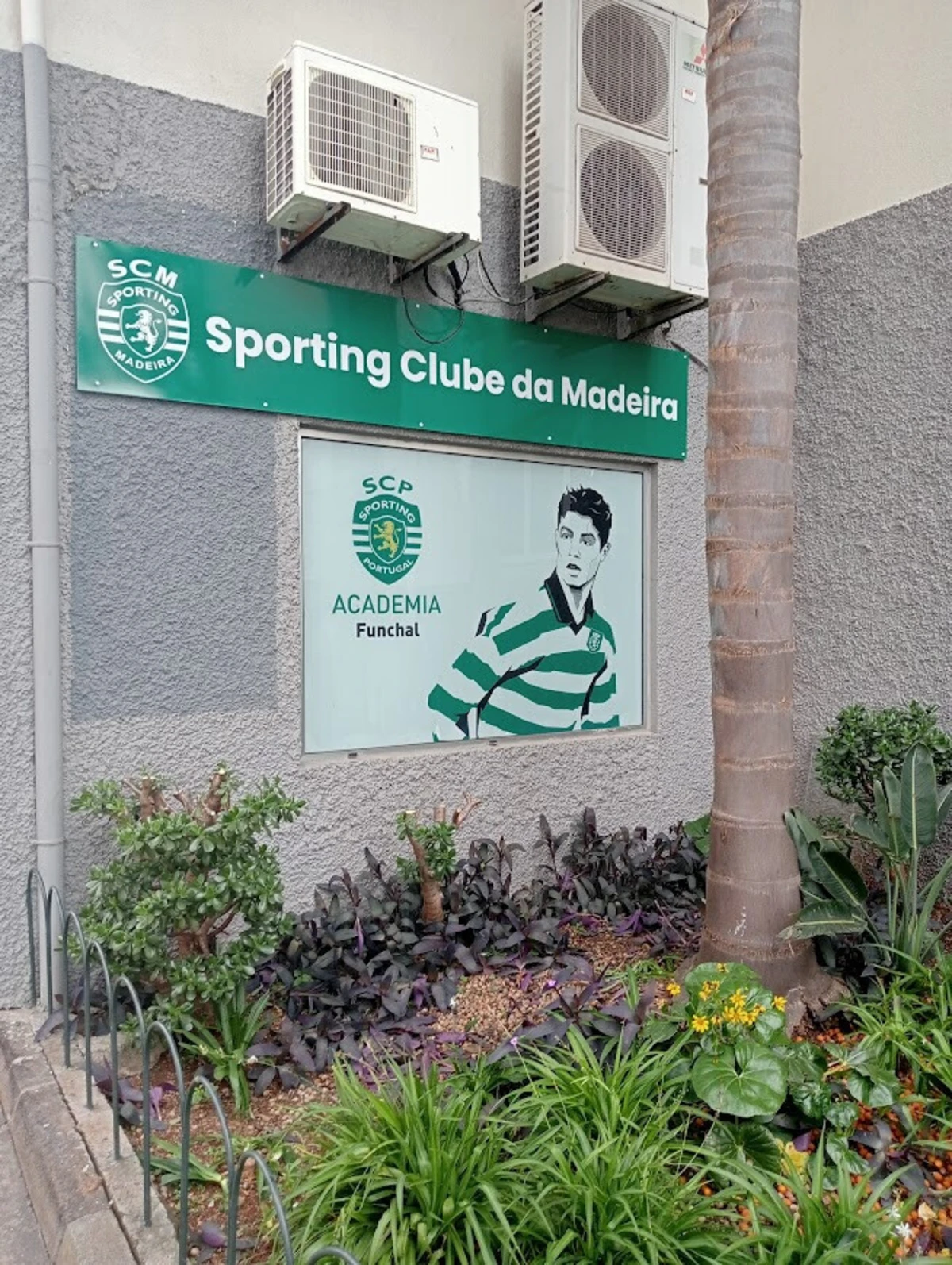 Imagem de contexto do artigo Mãe de Ronaldo na inauguração da sede do Sporting Clube da Madeira