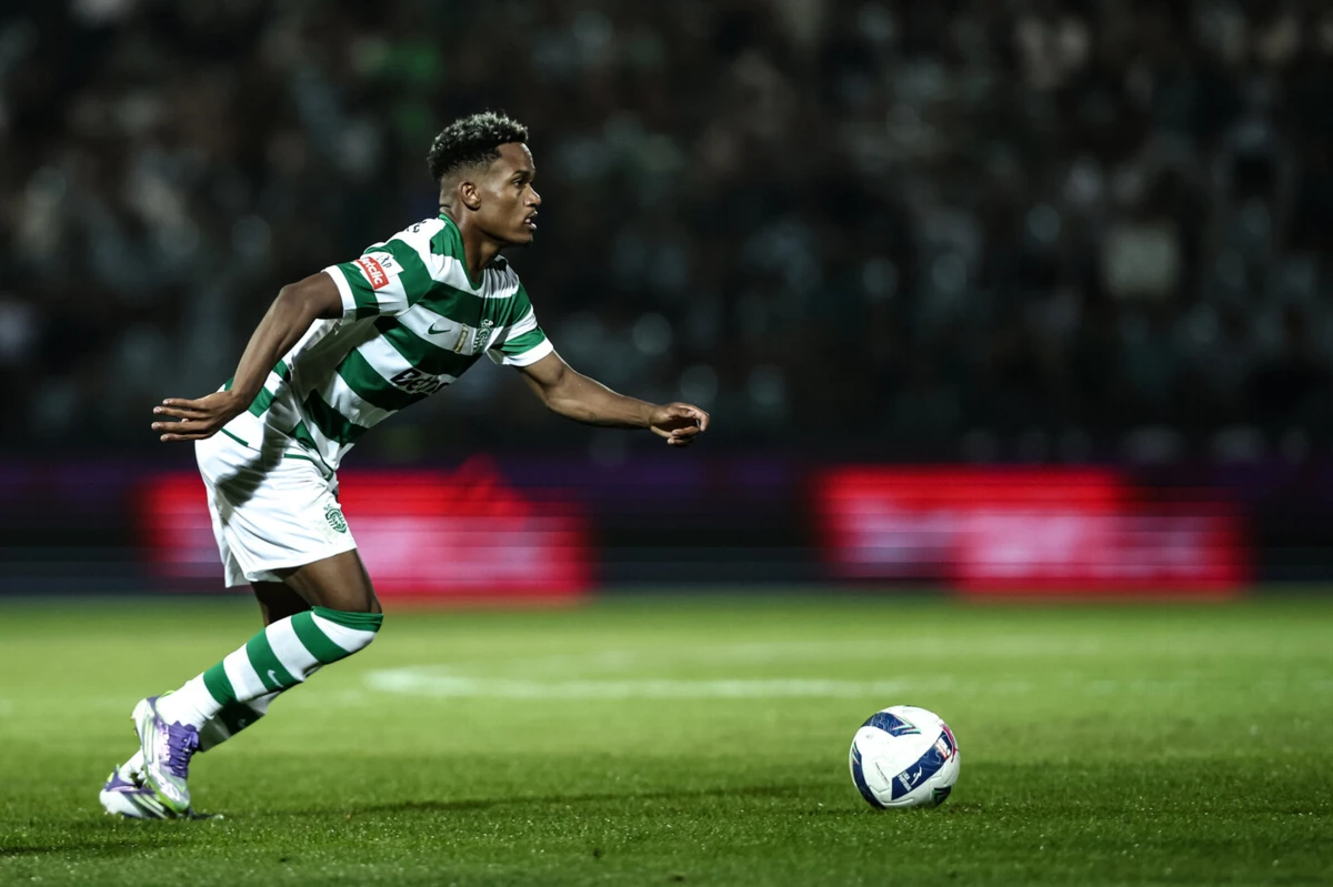 Catamo (Créditos: Mário Vasa)