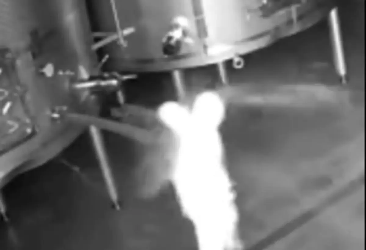 Imagem de contexto do artigo Homem encapuzado abriu depósitos de vinho e provoca prejuízo de 2,5 milhões de euros