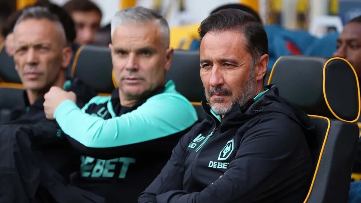 Vítor Pereira (créditos: Wolves)