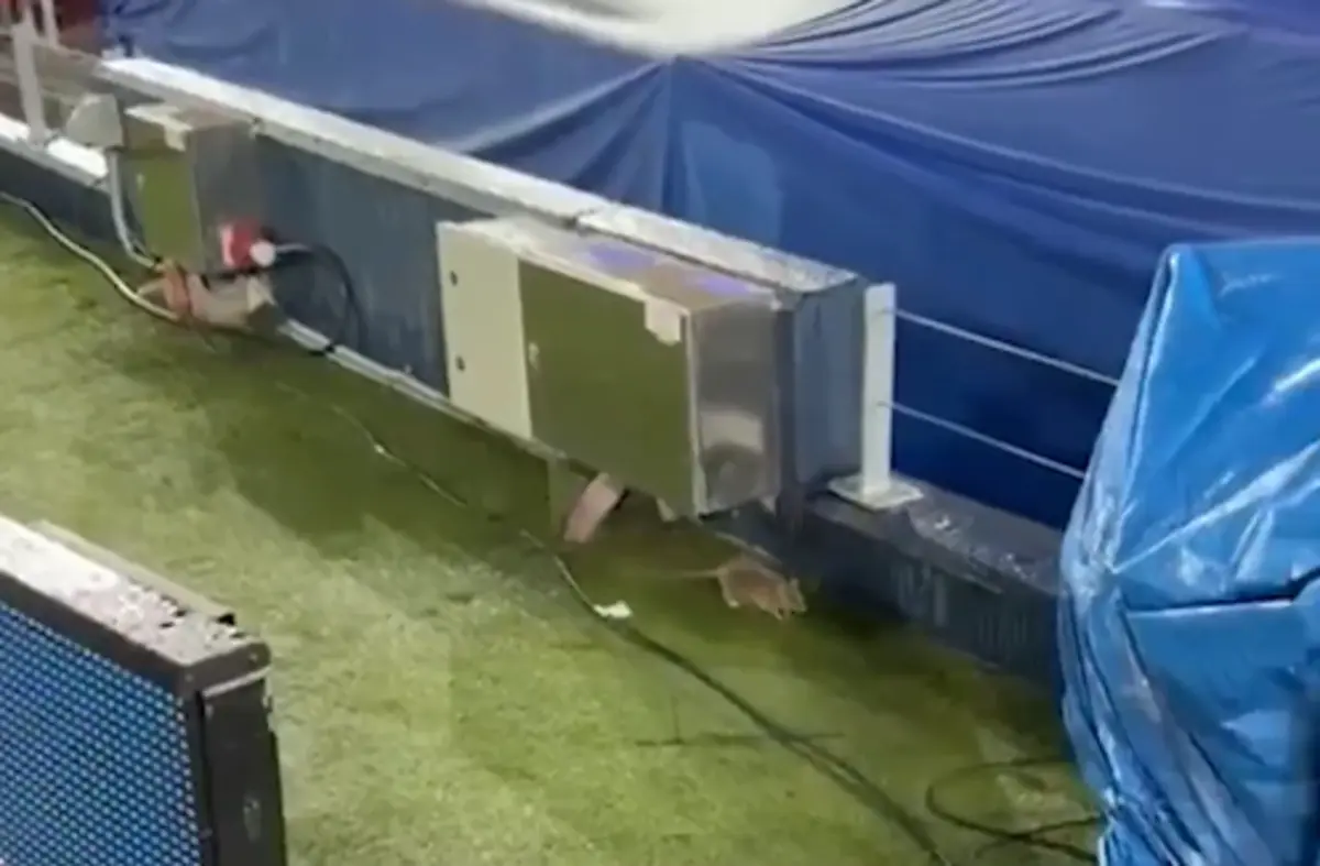 Imagem de contexto do artigo Ratazanas no Camp Nou na véspera do Barcelona-Copenhaga