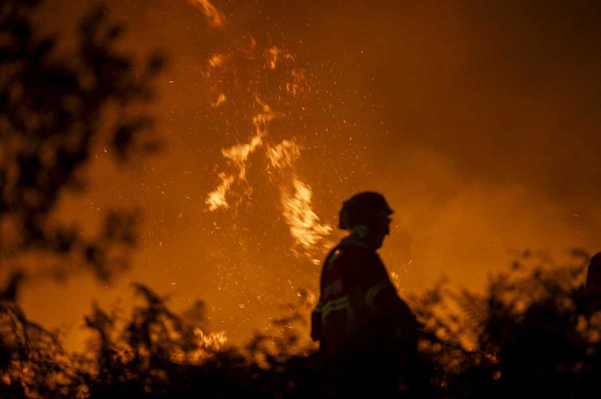 Créditos: Rui Manuel Fonseca
