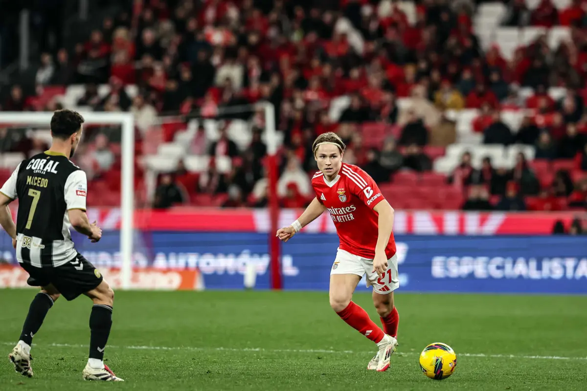 Schjelderup (Créditos: Mário Vasa)