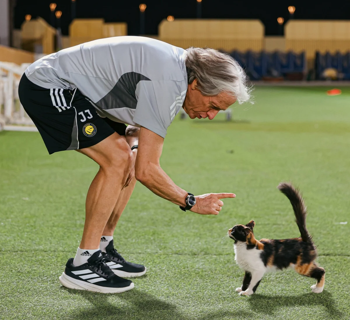 Imagem de contexto do artigo Jorge Jesus fez "festas" a um gato no treino, mas disse: "Gosto de cães, não gosto de gatos"