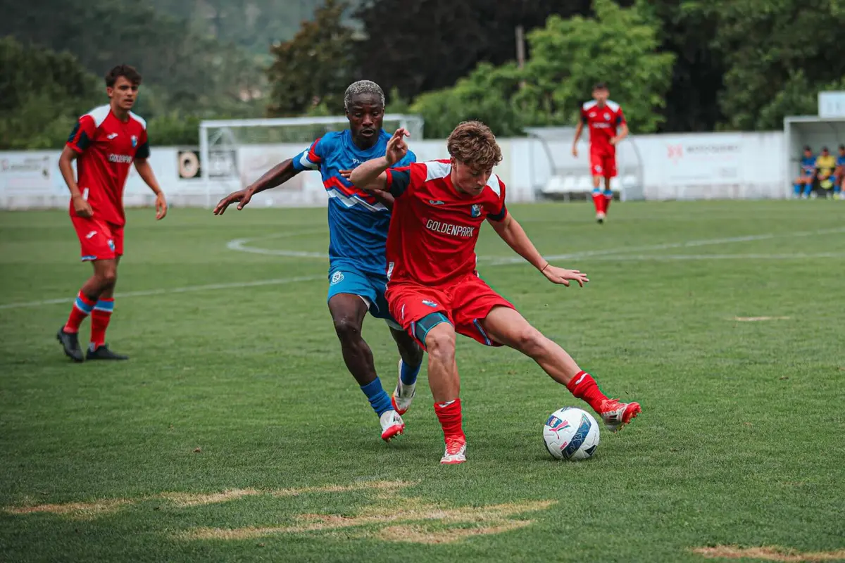 Reprodução: Gil vicente