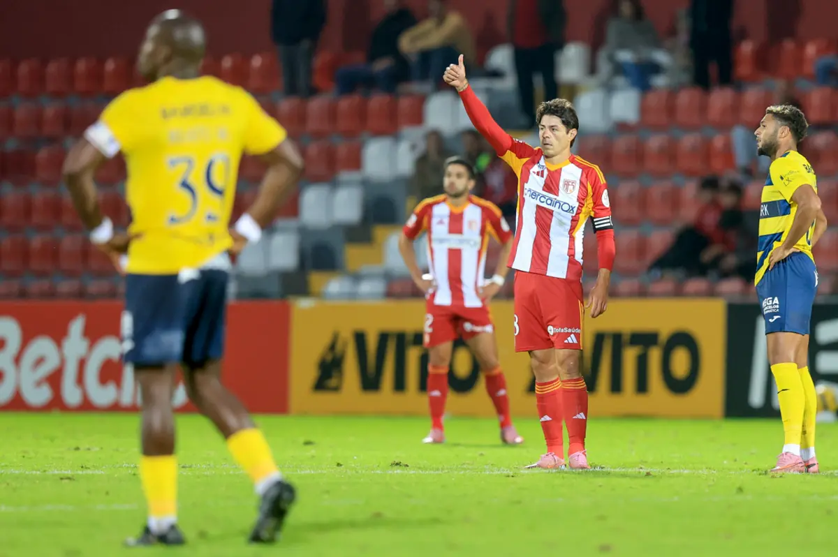 Aves SAD com vida difícil na luta pela permanência