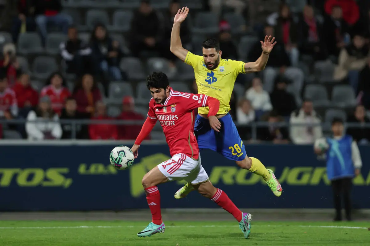 Imagem de contexto do artigo Roger Schmidt e o papel de Gonçalo Guedes: "Eu gosto disso..."