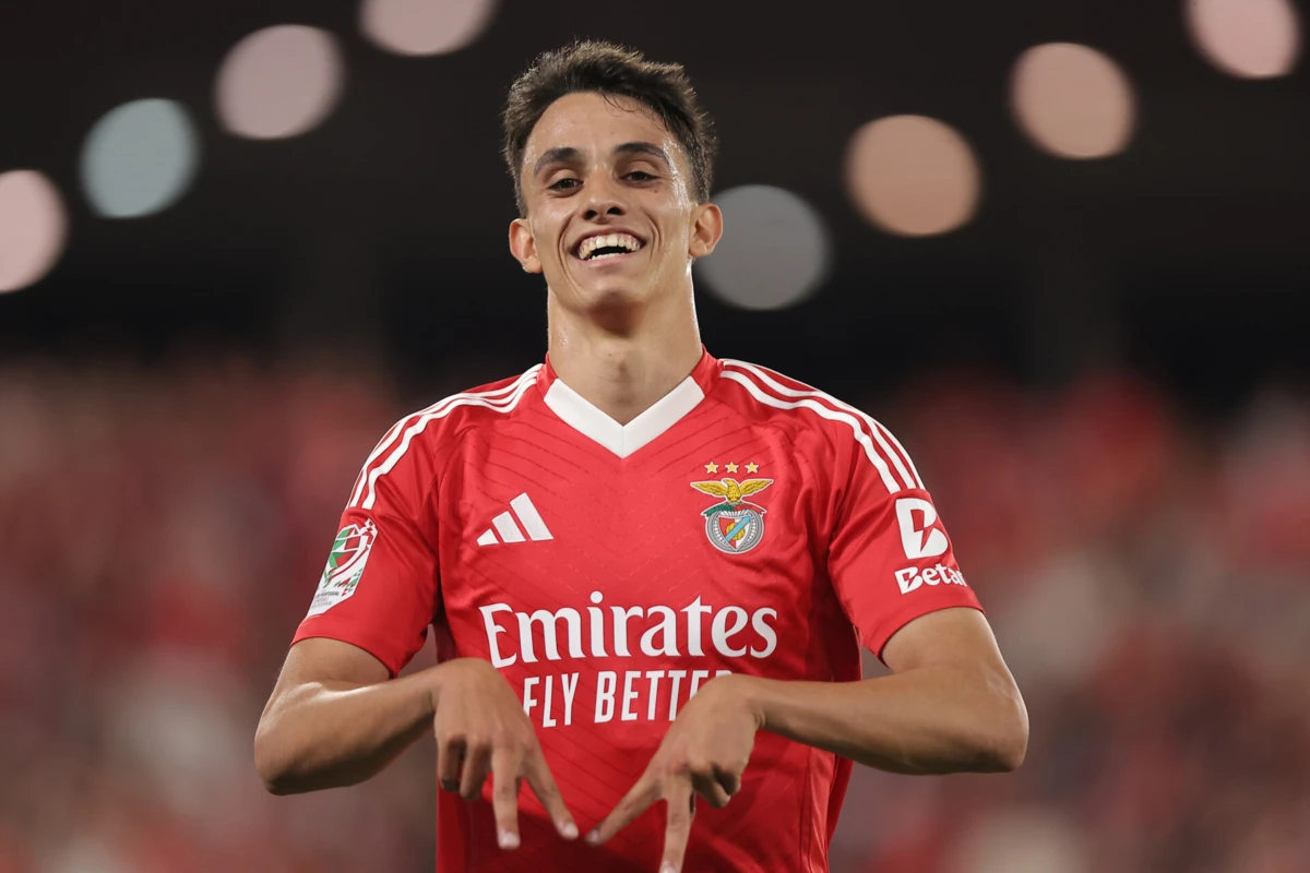 João Rego (créditos: Miguel Pereira)