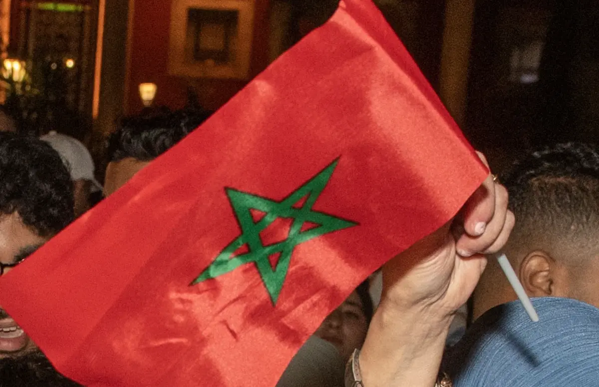 Imagem de contexto do artigo Voltam a surgir relatos sobre a alegada morte em massa de cães de rua em Marrocos