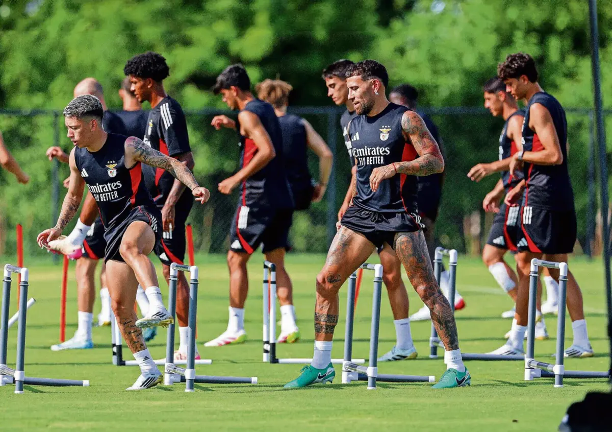 Benfica é muito superior ao Auckland (créditos: SL Benfica)