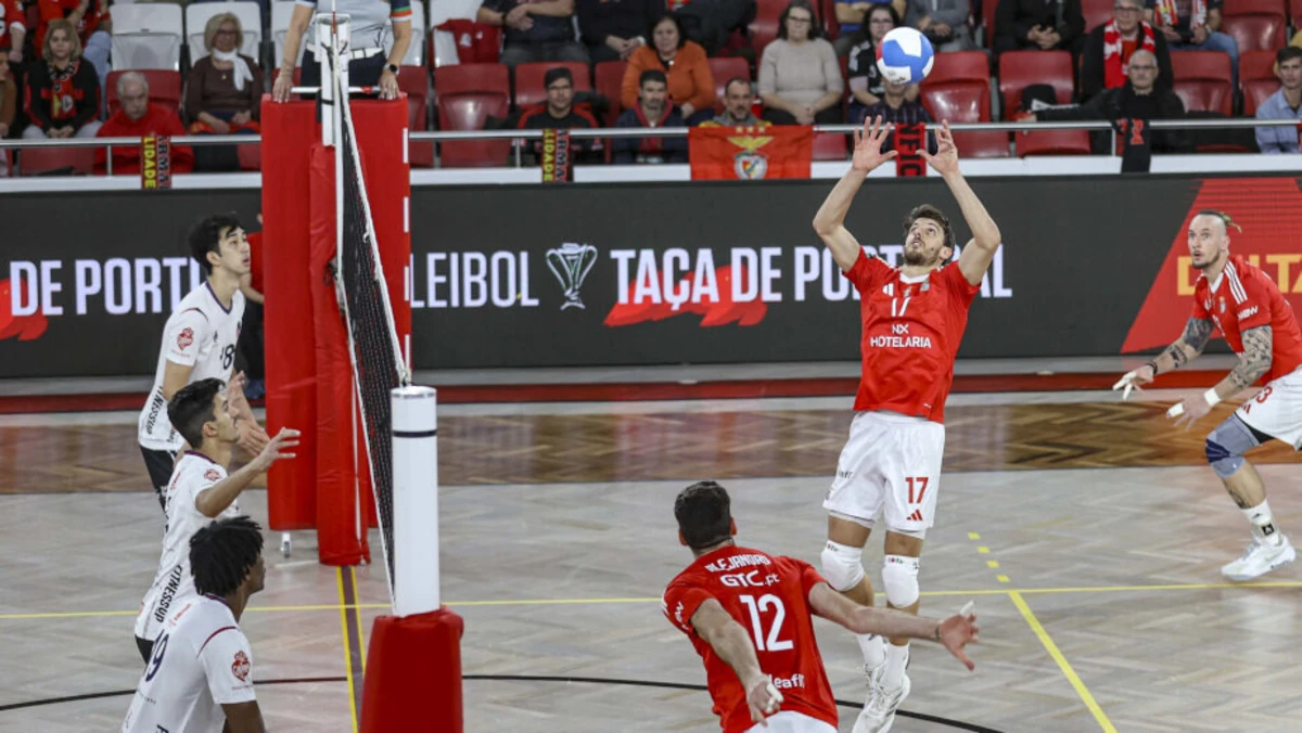 Tânia Paulo / SL Benfica