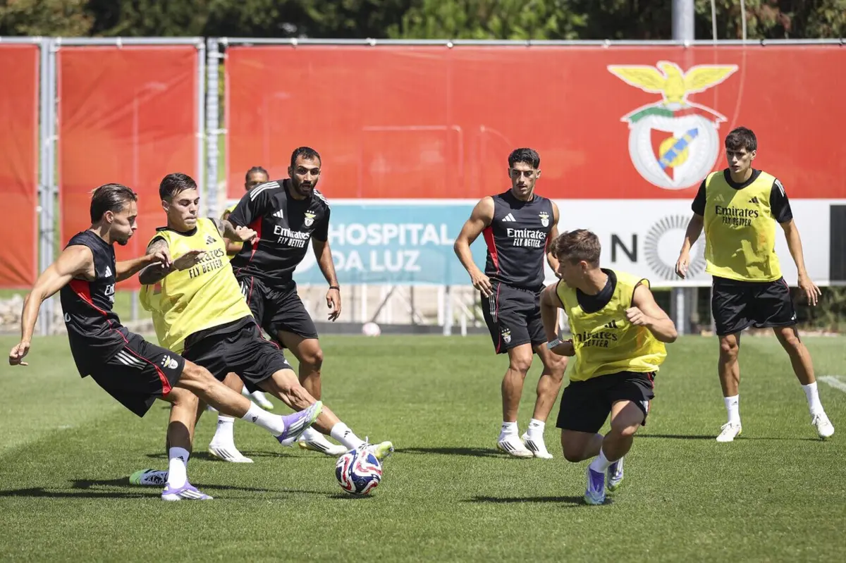 Imagem de contexto do artigo Benfica-Fenerbahçe é um teste duro a pensar na Supertaça