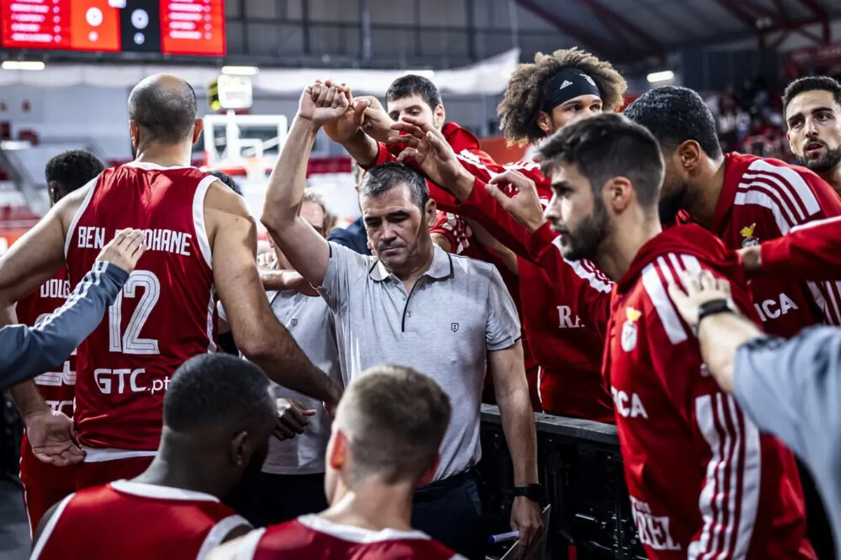 Norberto Alves, treinador do Benfica