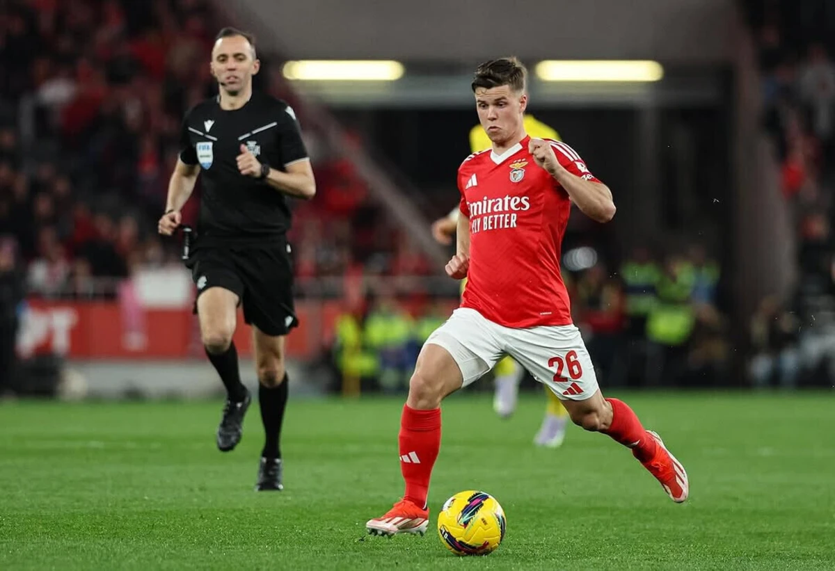 Imagem de contexto do artigo Besiktas tentou desviar Samuel Dahl do Benfica: "Não foi possível..."
