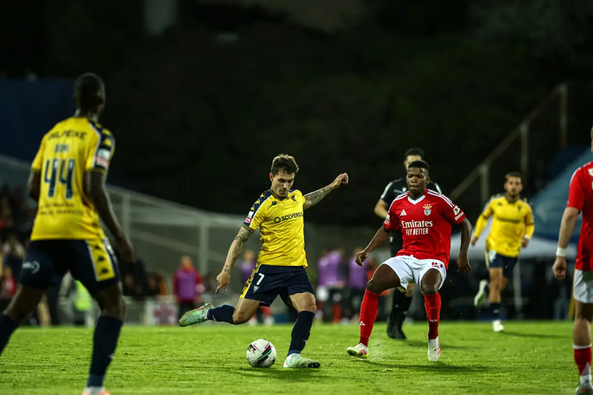 Zanocelo (Créditos: Mário Vasa)