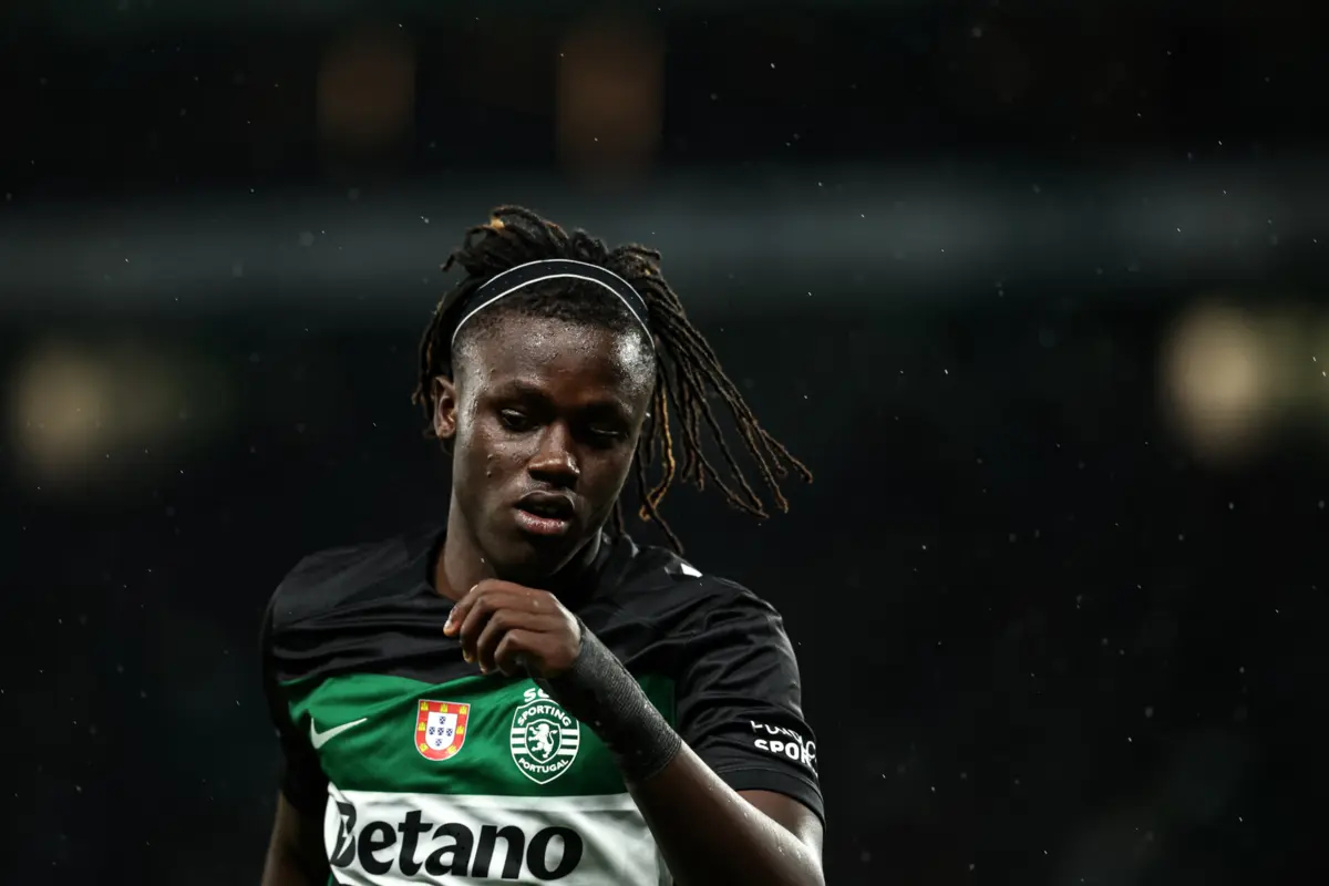 Quenda (Créditos: Mário Vasa)