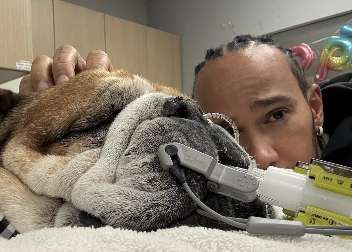 Lewis Hamilton e o cão, Roscoe
