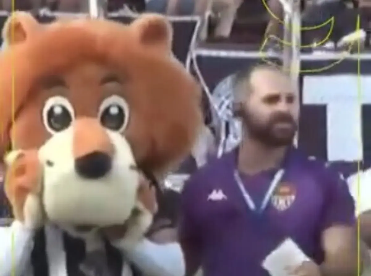 Imagem de contexto do artigo Mascote provoca adeptos, leva soco de presidente e acaba expulsa: veja aqui