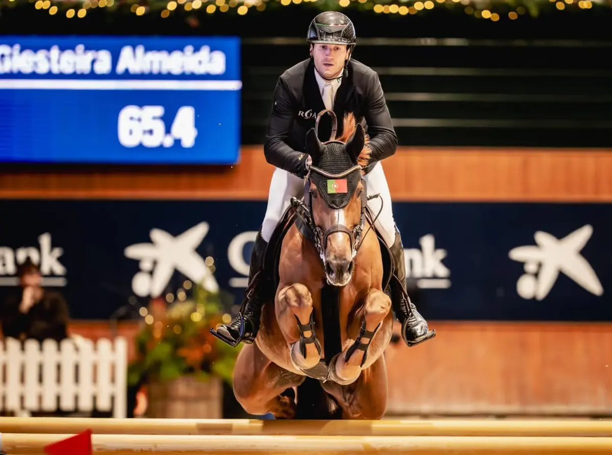 Rodrigo Giesteira Almeida