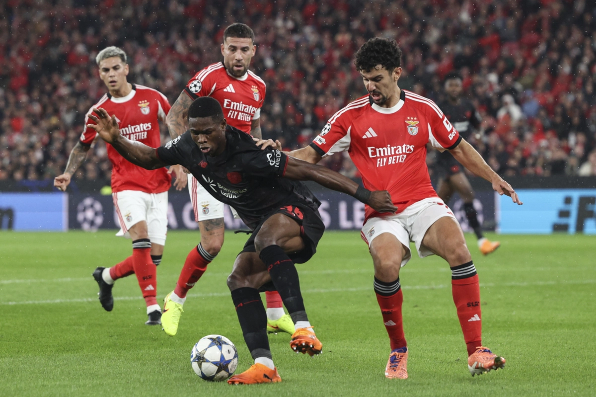 Kofane e Tomás Araújo