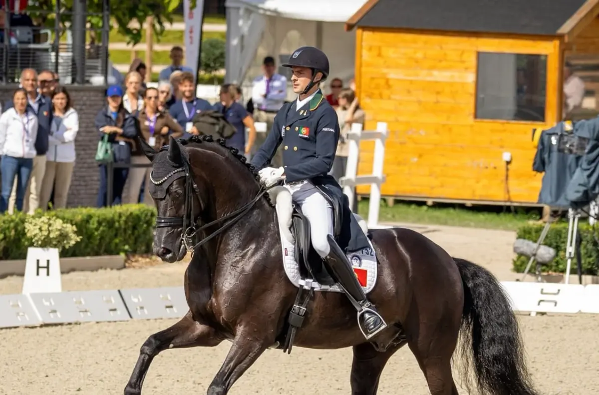 Reprodução/ Federação Equestre Portuguesa