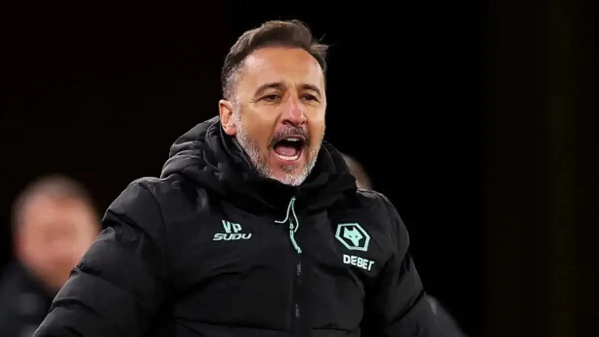 Vítor Pereira (créditos: Wolves)