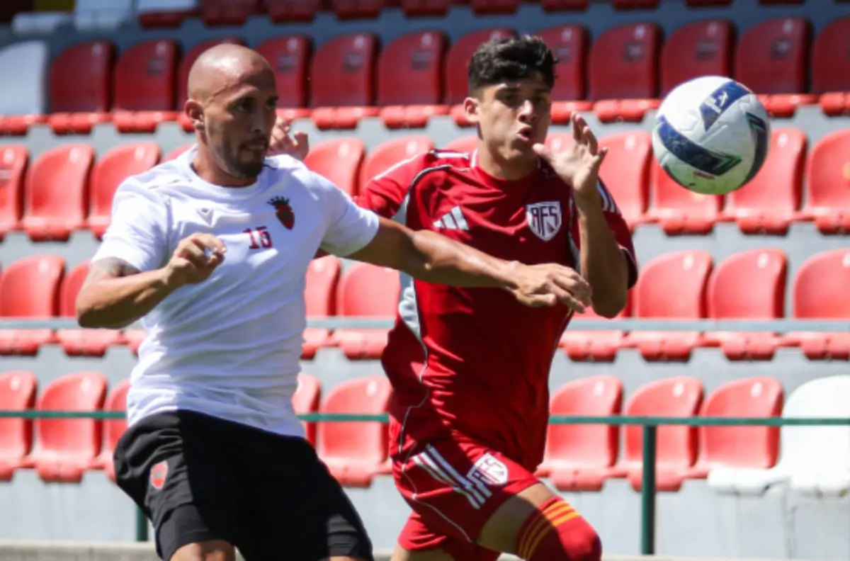 Reprodução: Aves SAD