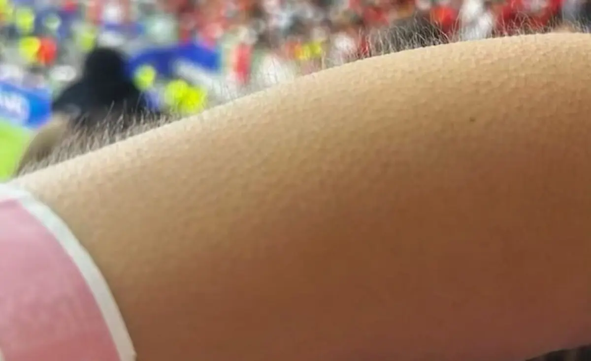 Créditos: Instagram de Ana Sofia Moreira