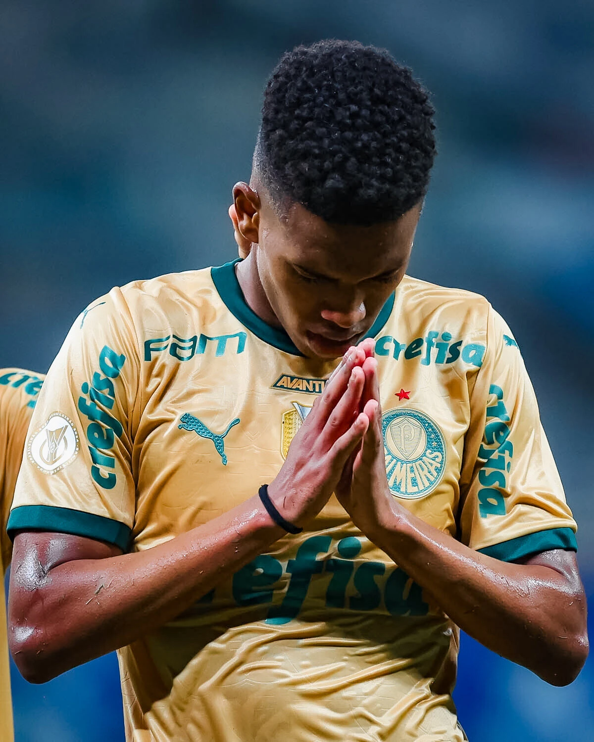 Estêvão (Créditos: SE Palmeiras)