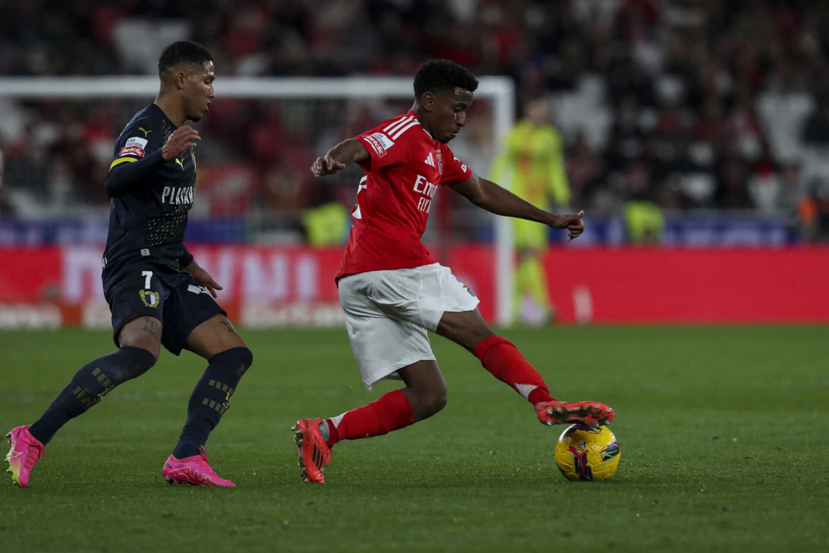 Créditos: Pedro Rocha