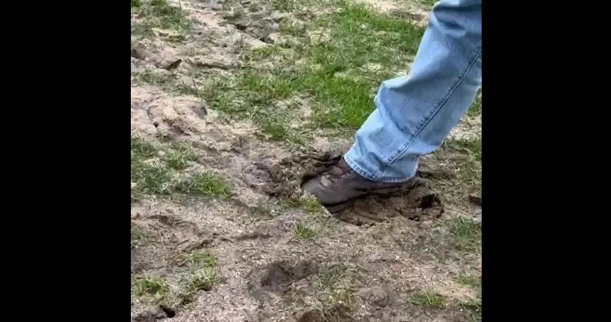 Imagem de contexto do artigo O estado do relvado que obriga o Caldas a receber o Braga em Torres Vedras