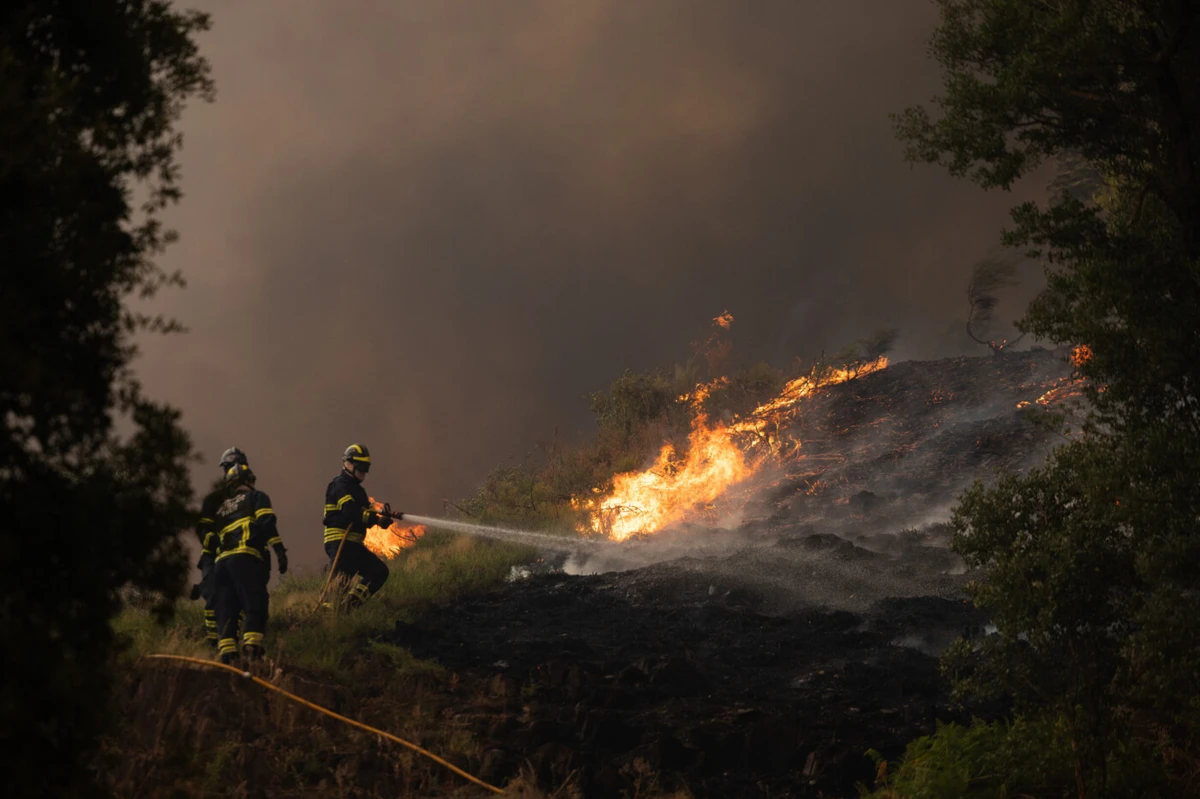 Créditos: Pedro Correia