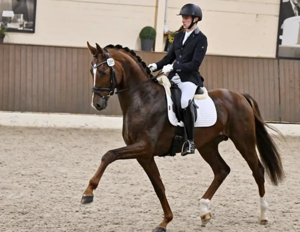 João Pedro Moreira (Reprodução: Instagram)