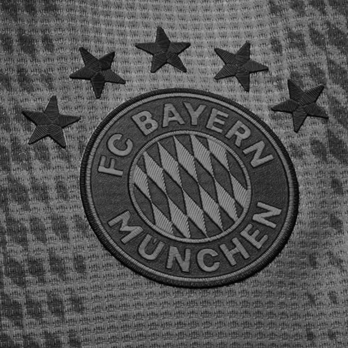 Imagem de contexto do artigo Bayern-Benfica: adepto sentiu-se mal e morreu a caminho do hospital