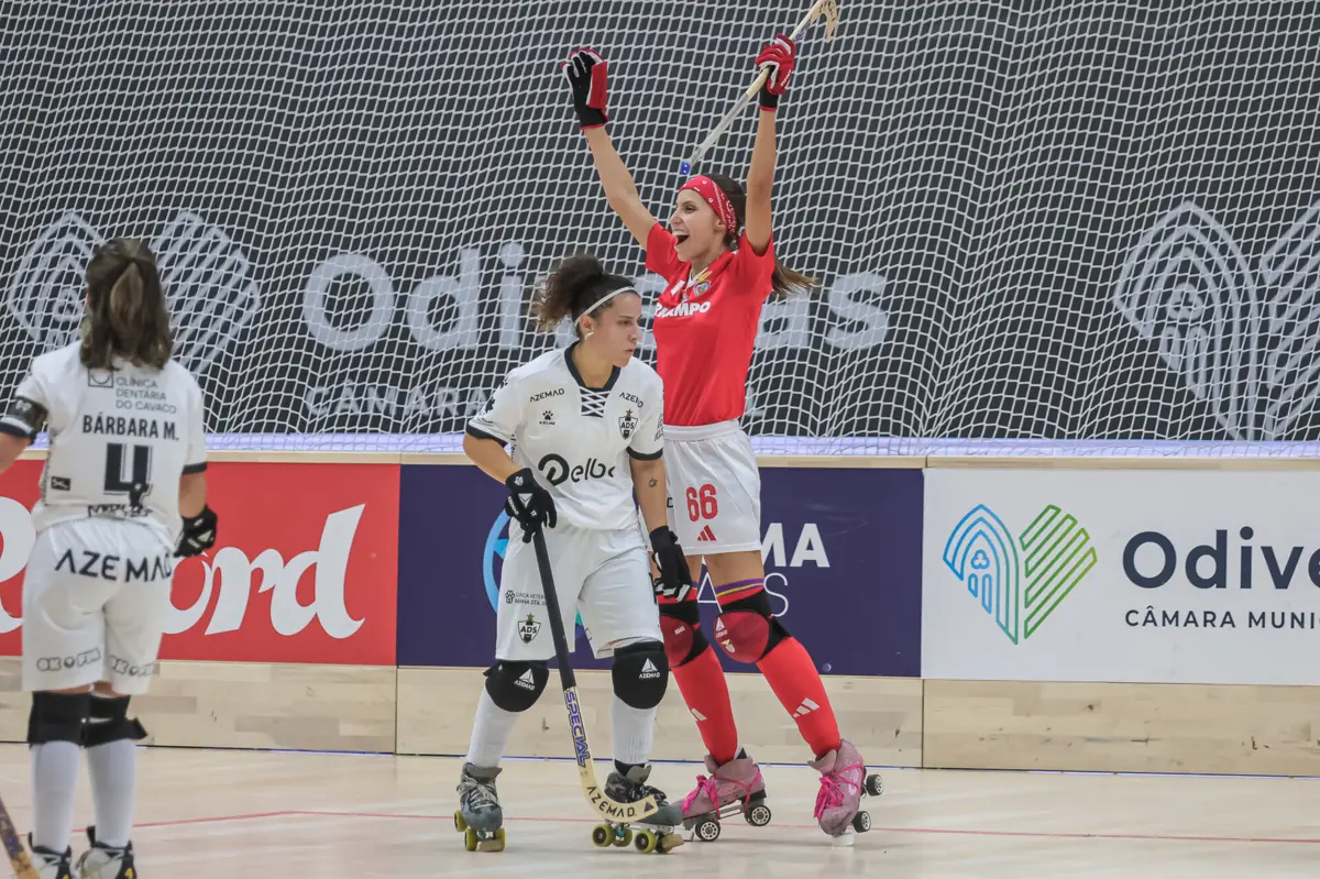 (créditos: Luís Azevedo)