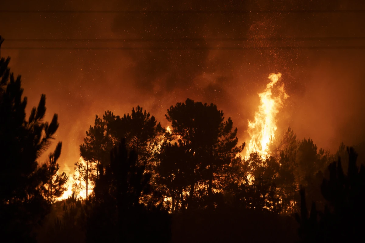 Créditos: Rui Manuel Fonseca