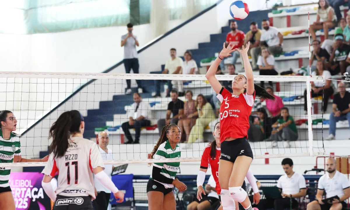 Mariana Garcez, distribuidora do Benfica
