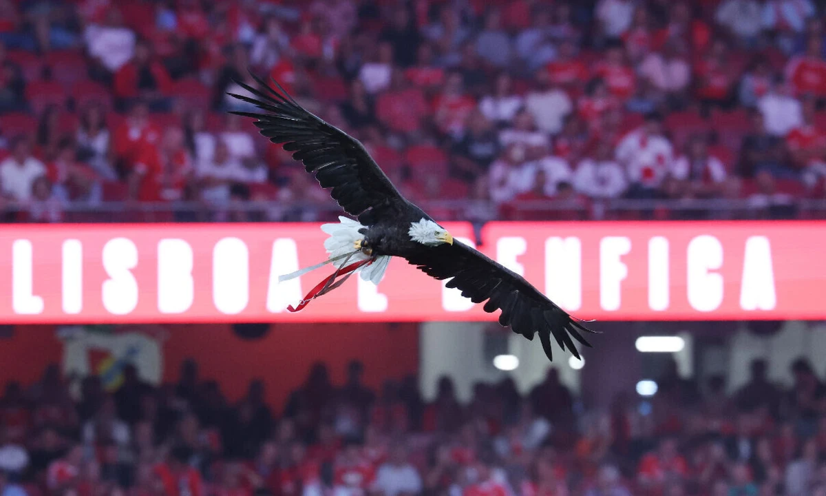 Imagem de contexto do artigo Regulamento Eleitoral do Benfica: vai haver debate entre os candidatos na BTV